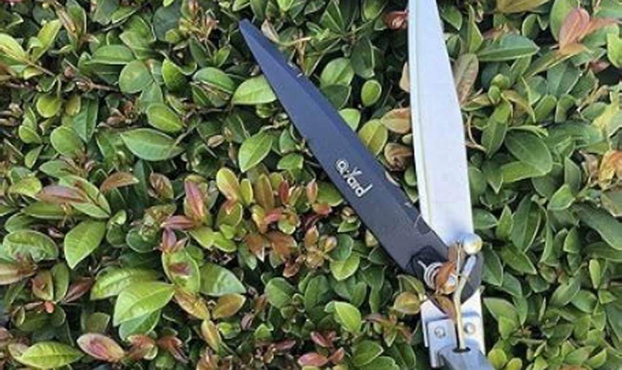 Top-Rated Best Garden Hand Pruners for Effortless Gardening | The Ultimate Gardening Guide: Grow a Thriving Garden Year-Round