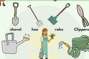 Essential Things in the Garden: Your Complete Guide | The Ultimate Gardening Guide: Grow a Thriving Garden Year-Round