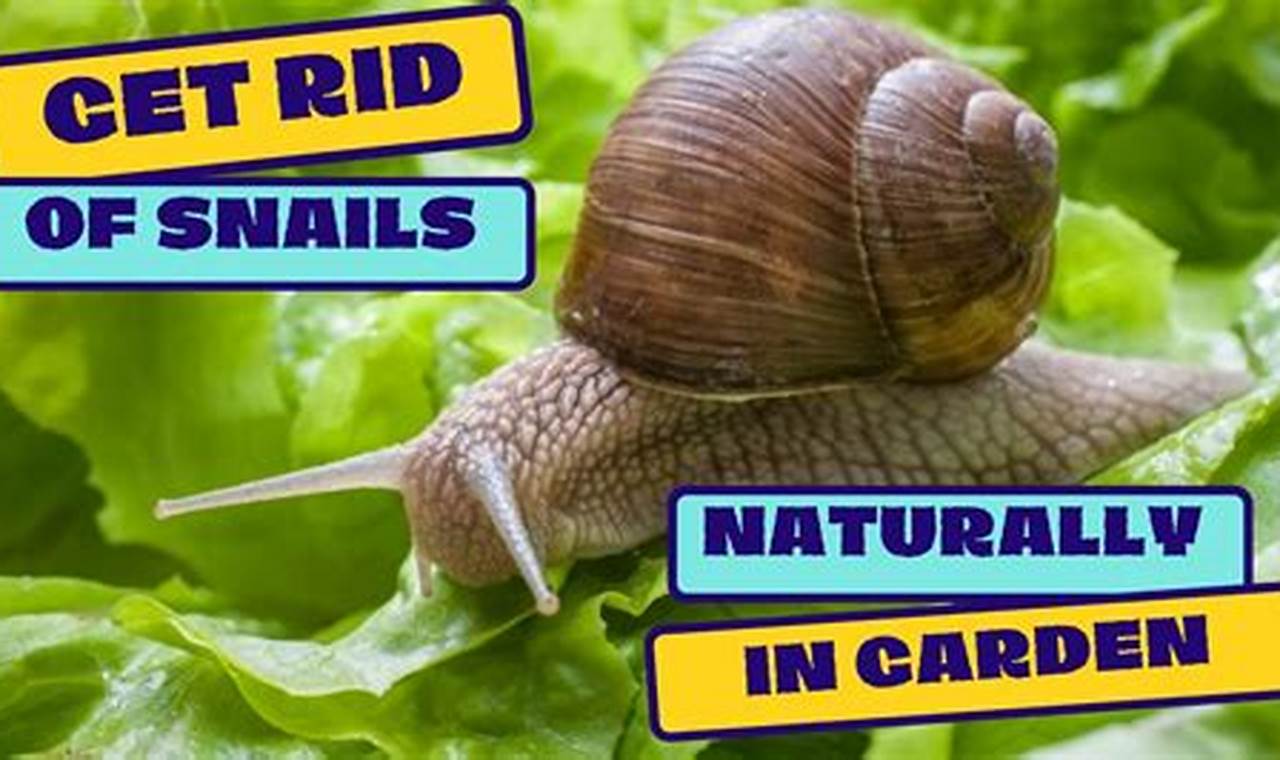 Garden Pest Control: How to Get Rid of Snails Fast! | The Ultimate Gardening Guide: Grow a Thriving Garden Year-Round