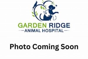 Top-Rated Garden Ridge Veterinary Hospital: Expert Care | The Ultimate Gardening Guide: Grow a Thriving Garden Year-Round
