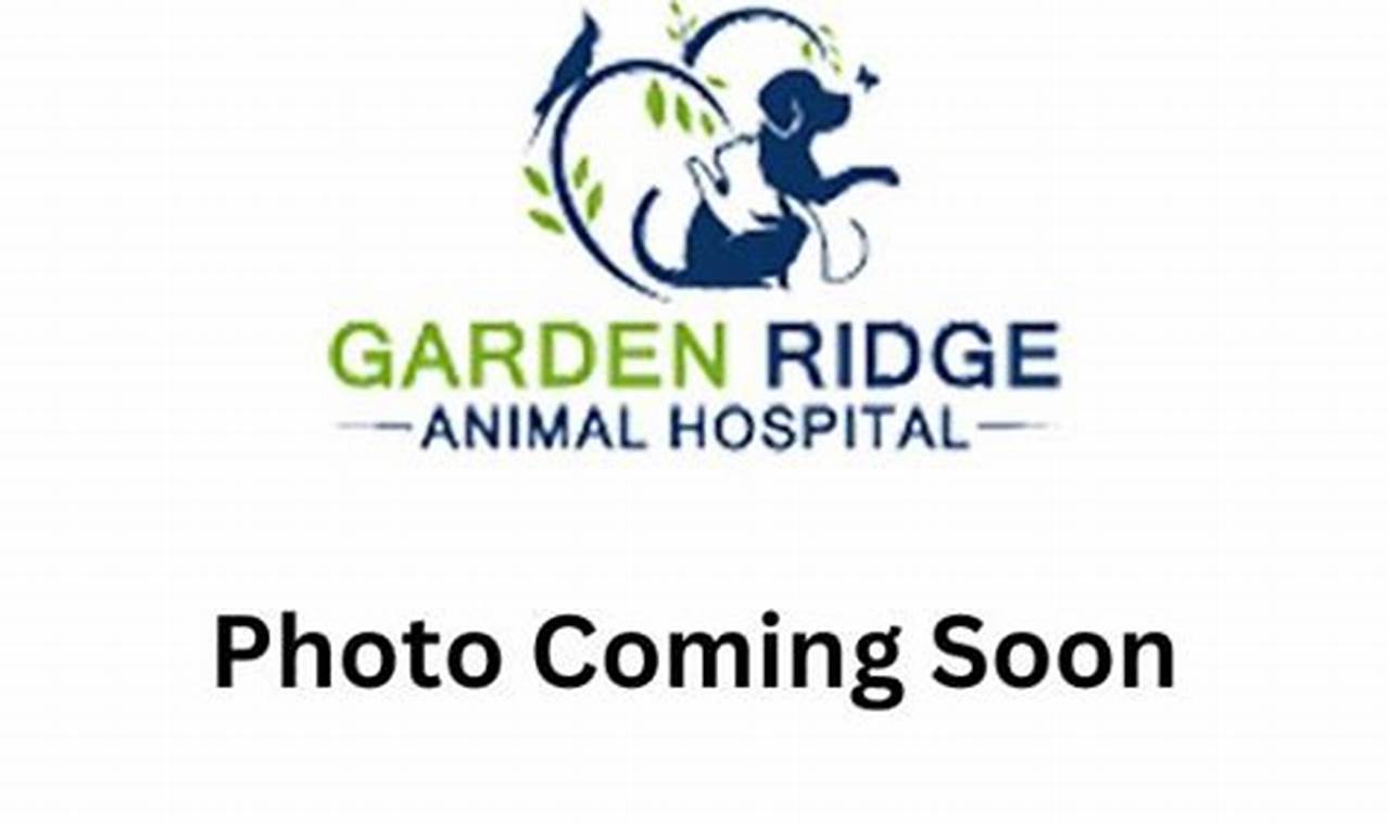Top-Rated Garden Ridge Veterinary Hospital: Expert Care | The Ultimate Gardening Guide: Grow a Thriving Garden Year-Round