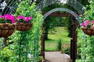 Revamp Your Garden: Aesthetic Updates & Ideas | The Ultimate Gardening Guide: Grow a Thriving Garden Year-Round