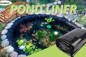 Best Garden Pond Liner Guide: Installation & Types | The Ultimate Gardening Guide: Grow a Thriving Garden Year-Round