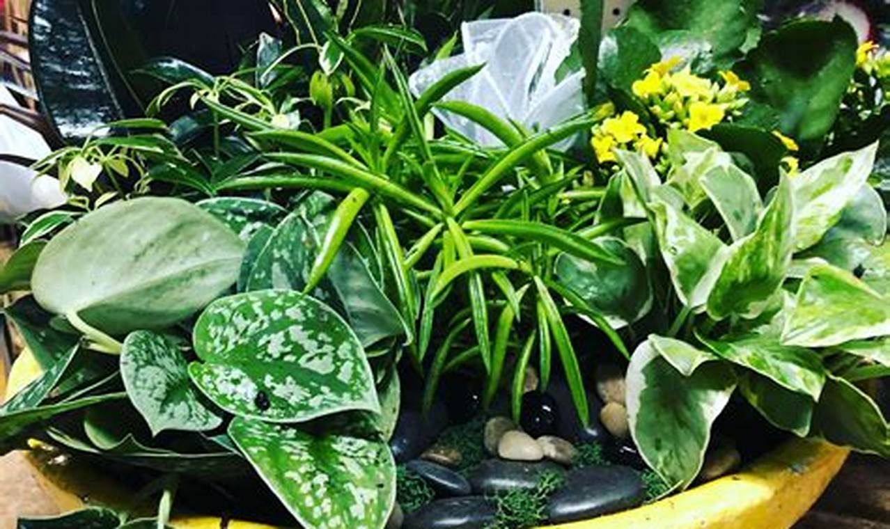 Best Dish Garden Plants: Miniature Gardens | The Ultimate Gardening Guide: Grow a Thriving Garden Year-Round