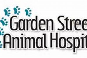 Your Garden St Animal Hospital: Care & Wellness | The Ultimate Gardening Guide: Grow a Thriving Garden Year-Round
