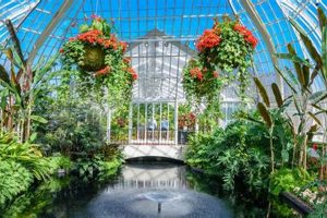 Your Penn Garden: A Peaceful University Oasis | The Ultimate Gardening Guide: Grow a Thriving Garden Year-Round