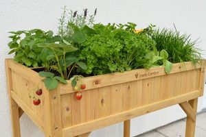 Best Garden Planters for Herbs: Grow Your Own! | The Ultimate Gardening Guide: Grow a Thriving Garden Year-Round