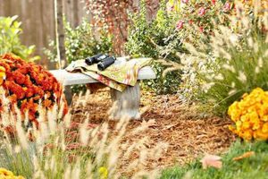 Your Best Fall Garden in Texas Guide | The Ultimate Gardening Guide: Grow a Thriving Garden Year-Round