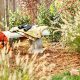 Your Best Fall Garden in Texas Guide | The Ultimate Gardening Guide: Grow a Thriving Garden Year-Round