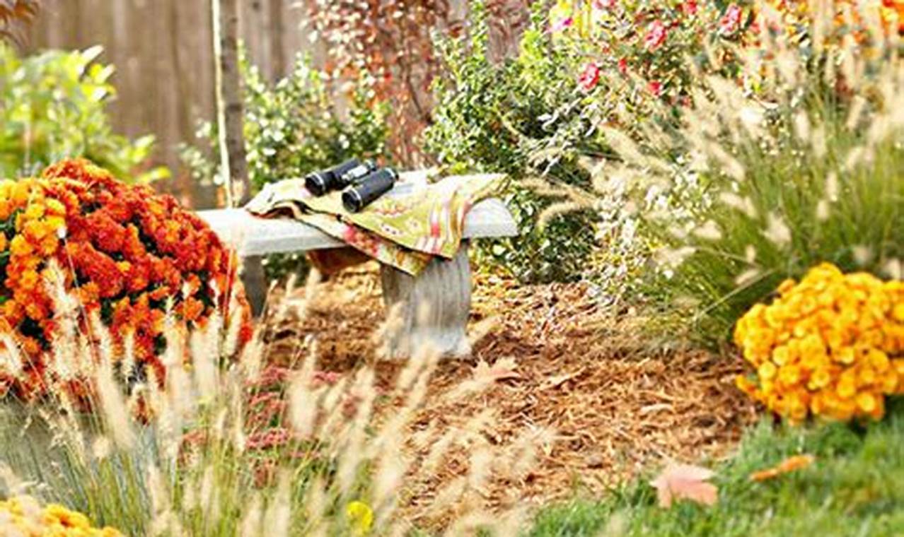 Your Best Fall Garden in Texas Guide | The Ultimate Gardening Guide: Grow a Thriving Garden Year-Round