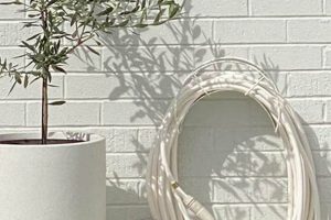 Unlocking Glory Gardens: Design & Care Tips | The Ultimate Gardening Guide: Grow a Thriving Garden Year-Round