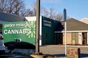 Your Garden Remedies: Melrose's Best Cannabis Dispensary | The Ultimate Gardening Guide: Grow a Thriving Garden Year-Round