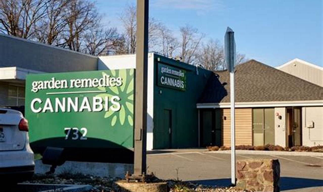 Your Garden Remedies: Melrose's Best Cannabis Dispensary | The Ultimate Gardening Guide: Grow a Thriving Garden Year-Round