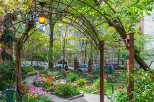 Explore Westside Community Garden NYC: A Green Oasis! | The Ultimate Gardening Guide: Grow a Thriving Garden Year-Round