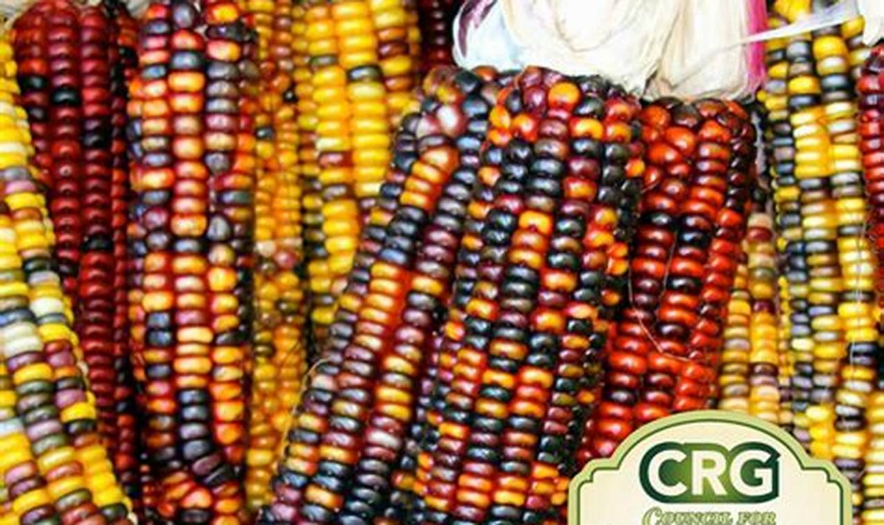 Buy Discount Bulk Garden Seeds Now! | The Ultimate Gardening Guide: Grow a Thriving Garden Year-Round