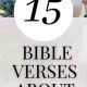 Exploring Bible Verses About a Garden: Eden & Beyond | The Ultimate Gardening Guide: Grow a Thriving Garden Year-Round