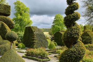 Sculpting Beauty: Garden Topiaries & Artistic Gardens | The Ultimate Gardening Guide: Grow a Thriving Garden Year-Round