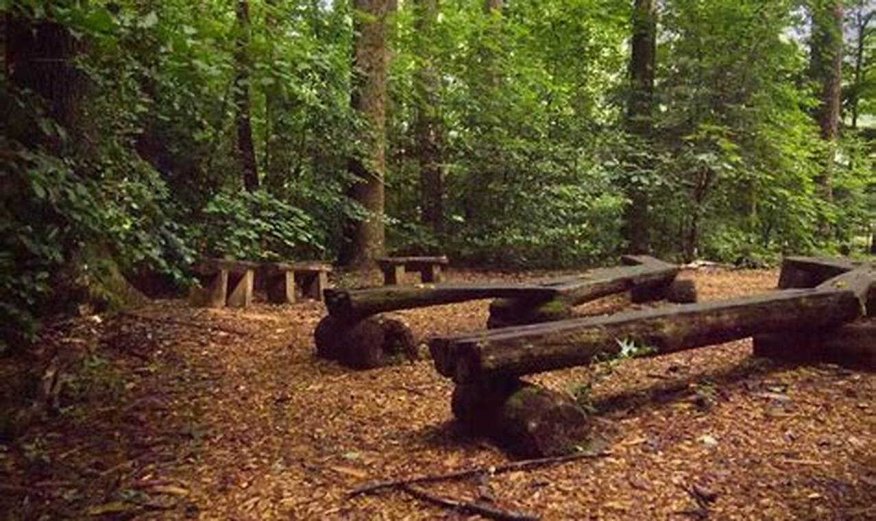 Visit Woodlands Garden Decatur: A Nature's Paradise | The Ultimate Gardening Guide: Grow a Thriving Garden Year-Round
