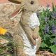 Adorable Garden Bunny Statuary: Decor & More! | The Ultimate Gardening Guide: Grow a Thriving Garden Year-Round