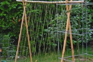 Grow More: Green Bean Garden Trellis Guide & Tips | The Ultimate Gardening Guide: Grow a Thriving Garden Year-Round