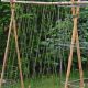 Grow More: Green Bean Garden Trellis Guide & Tips | The Ultimate Gardening Guide: Grow a Thriving Garden Year-Round