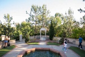 Explore Casa del Rey Moro Garden: History & Views | The Ultimate Gardening Guide: Grow a Thriving Garden Year-Round
