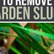 Stop Slugs! How to Get Rid of Slugs in the Garden Fast | The Ultimate Gardening Guide: Grow a Thriving Garden Year-Round