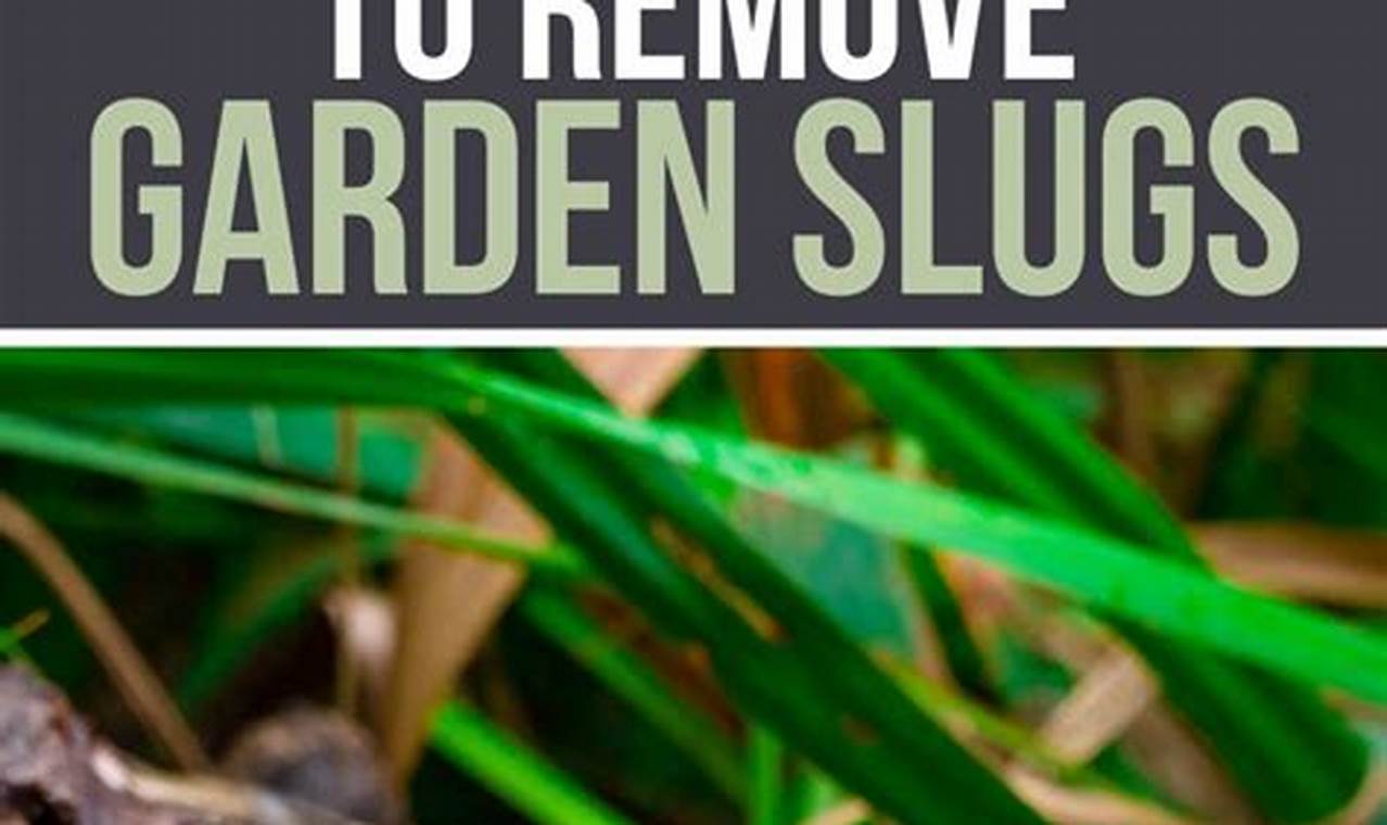 Stop Slugs! How to Get Rid of Slugs in the Garden Fast | The Ultimate Gardening Guide: Grow a Thriving Garden Year-Round