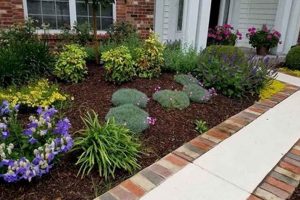 Easy Garden: Low Maintenance Plants for Front Garden Ideas! | The Ultimate Gardening Guide: Grow a Thriving Garden Year-Round
