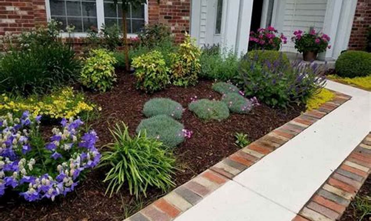 Easy Garden: Low Maintenance Plants for Front Garden Ideas! | The Ultimate Gardening Guide: Grow a Thriving Garden Year-Round