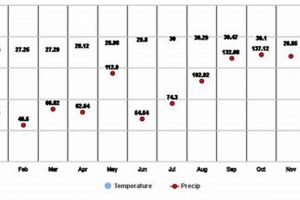 Understanding Garden Hill Temperature: A Guide + Tips | The Ultimate Gardening Guide: Grow a Thriving Garden Year-Round