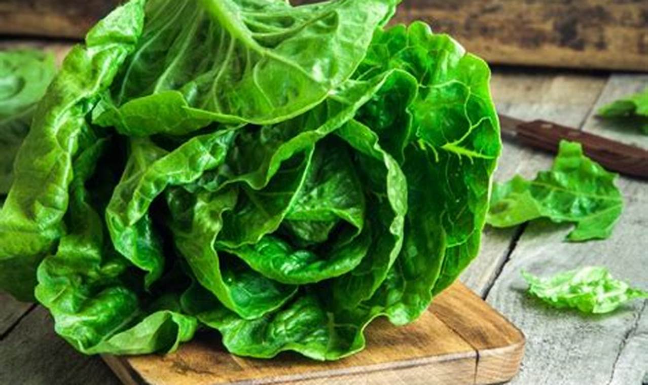 Why Garden Lettuce Tastes Bitter? Fix It Now! | The Ultimate Gardening Guide: Grow a Thriving Garden Year-Round