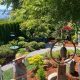 Coastal Harbor Garden Oasis: Bloom by the Bay! | The Ultimate Gardening Guide: Grow a Thriving Garden Year-Round