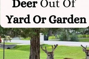 Deer-Be-Gone: How to Keep Deer Out of Your Garden! | The Ultimate Gardening Guide: Grow a Thriving Garden Year-Round