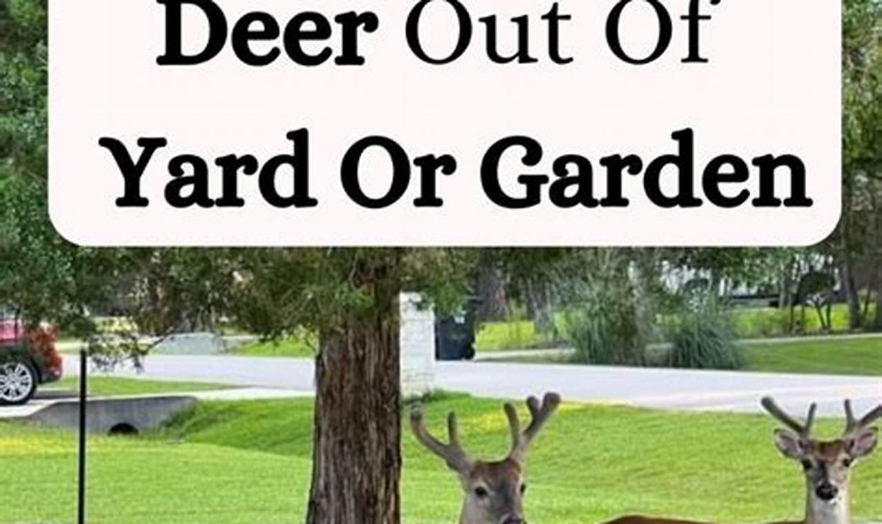 Deer-Be-Gone: How to Keep Deer Out of Your Garden! | The Ultimate Gardening Guide: Grow a Thriving Garden Year-Round