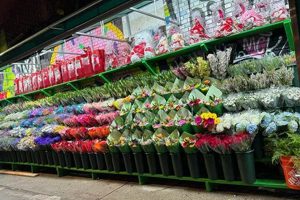 Bloom Local: Garden Fresh Flowers NY Delivered Today | The Ultimate Gardening Guide: Grow a Thriving Garden Year-Round