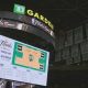 Ultimate Celtics Watch Party at TD Garden [Guide] | The Ultimate Gardening Guide: Grow a Thriving Garden Year-Round