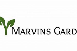 Find Your "Marvins Garden": A Tranquil Escape + Tips | The Ultimate Gardening Guide: Grow a Thriving Garden Year-Round