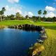 Discover Cane Garden Country Club Florida Life + Guide | The Ultimate Gardening Guide: Grow a Thriving Garden Year-Round