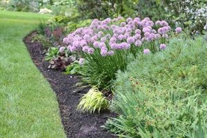 Choosing the Best Mulch for Flower Garden: A Gardener's Guide | The Ultimate Gardening Guide: Grow a Thriving Garden Year-Round