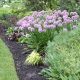 Choosing the Best Mulch for Flower Garden: A Gardener's Guide | The Ultimate Gardening Guide: Grow a Thriving Garden Year-Round