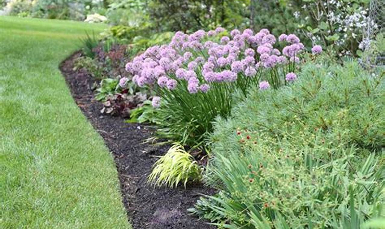 Choosing the Best Mulch for Flower Garden: A Gardener's Guide | The Ultimate Gardening Guide: Grow a Thriving Garden Year-Round