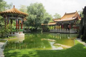 Tranquil Temple Garden Designs: A Sacred Oasis | The Ultimate Gardening Guide: Grow a Thriving Garden Year-Round