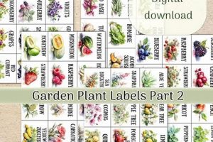 Best Garden Labels for Plants: Tags & More! | The Ultimate Gardening Guide: Grow a Thriving Garden Year-Round