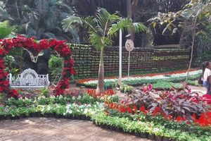 The Empress Garden: A Royal Sanctuary | The Ultimate Gardening Guide: Grow a Thriving Garden Year-Round