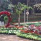 The Empress Garden: A Royal Sanctuary | The Ultimate Gardening Guide: Grow a Thriving Garden Year-Round