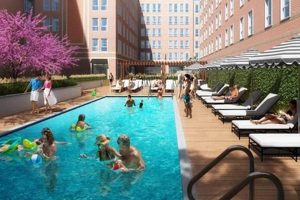 Discover Garden Court Plaza: Your Urban Oasis The Ultimate Gardening Guide: Grow a Thriving Garden Year-Round Discover Garden Court Plaza: Your Urban Oasis | The Ultimate Gardening Guide: Grow a Thriving Garden Year-Round