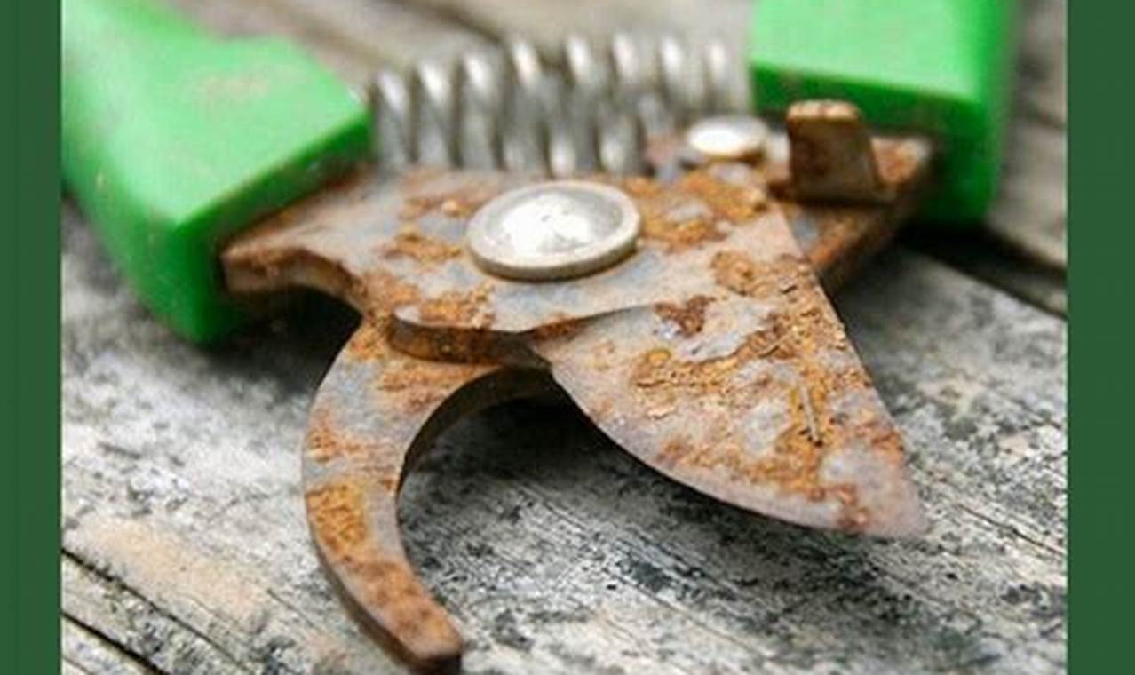Easy How to Clean Rusty Garden Tools + Tips! The Ultimate Gardening Guide: Grow a Thriving Garden Year-Round Easy How to Clean Rusty Garden Tools + Tips! | The Ultimate Gardening Guide: Grow a Thriving Garden Year-Round