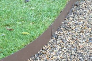 Define Your Garden: Metal Garden Edge Ideas & Beyond | The Ultimate Gardening Guide: Grow a Thriving Garden Year-Round