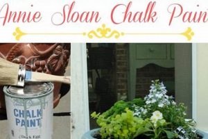 DIY: Paint Garden Pots Ideas + Designs | The Ultimate Gardening Guide: Grow a Thriving Garden Year-Round